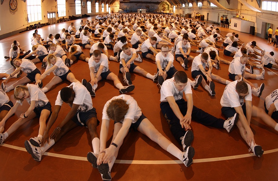 gym. entrenamiento, rutinas, ejersicios, pecho, adomen, musculos, fuerza